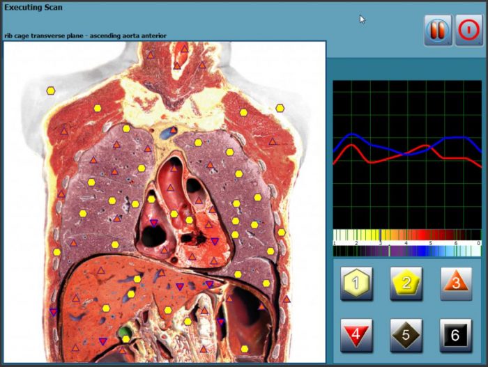 3d cell nls software