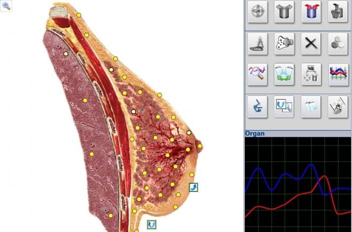 Bioresonance Health Scan and Therapy Metatron NLS 4025 Hunter for Body Detection Equipment software