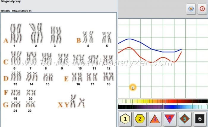 metatron nonlinear analysis systems (nls)