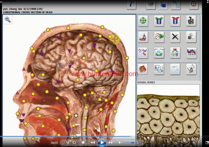 3d cell nls software