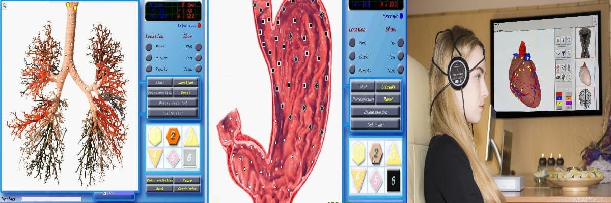 3d Nls Software How To Work And 3d Nls Software How To Use? - MAIKONG ...
