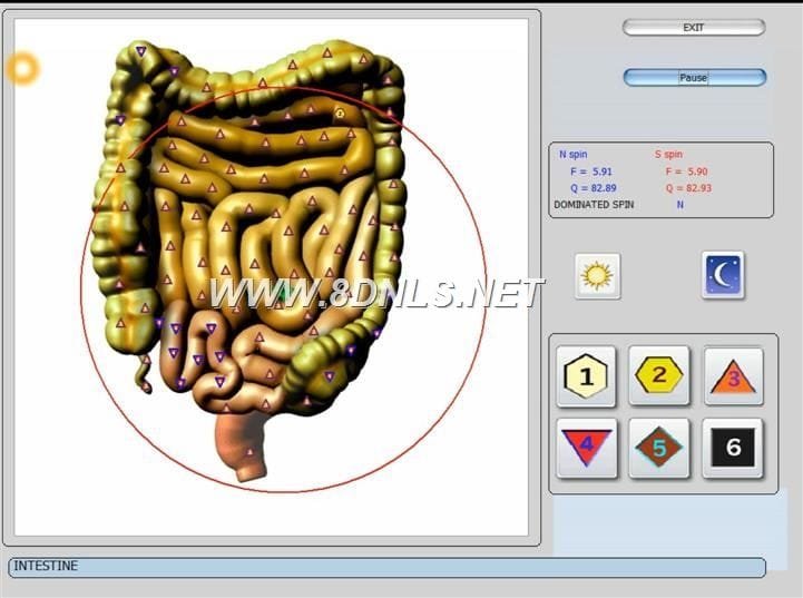 what is nls? - MAIKONG 3d nls health analyzer | 3d nls health analyzer ...